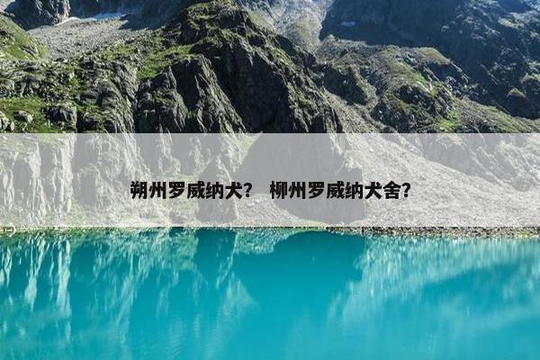 朔州罗威纳犬？ 柳州罗威纳犬舍？