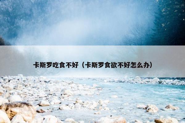 卡斯罗吃食不好（卡斯罗食欲不好怎么办）