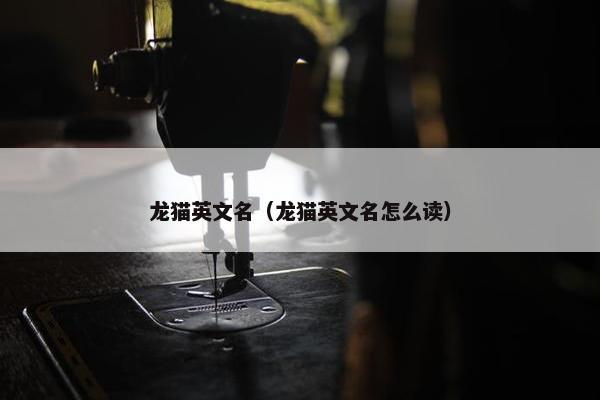 龙猫英文名（龙猫英文名怎么读）