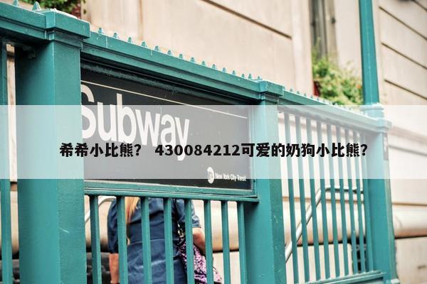 希希小比熊？ 430084212可爱的奶狗小比熊？