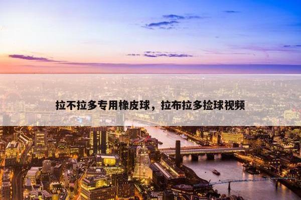 拉不拉多专用橡皮球，拉布拉多捡球视频