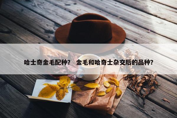 哈士奇金毛配种？ 金毛和哈奇士杂交后的品种？