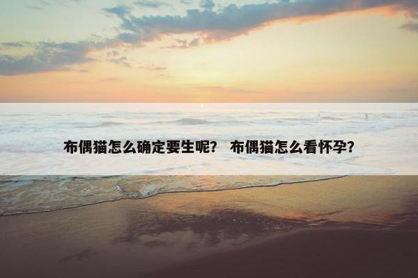 布偶猫怎么确定要生呢？ 布偶猫怎么看怀孕？