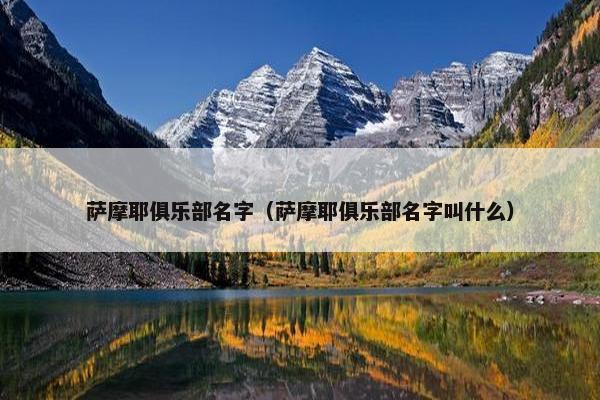 萨摩耶俱乐部名字（萨摩耶俱乐部名字叫什么）