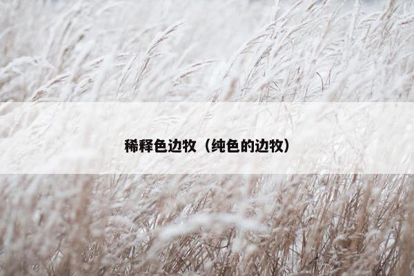 稀释色边牧（纯色的边牧）