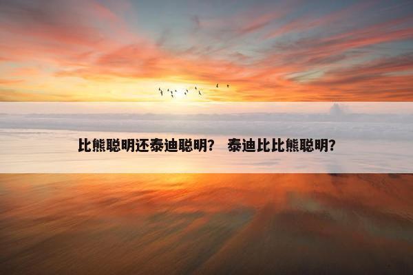 比熊聪明还泰迪聪明？ 泰迪比比熊聪明？