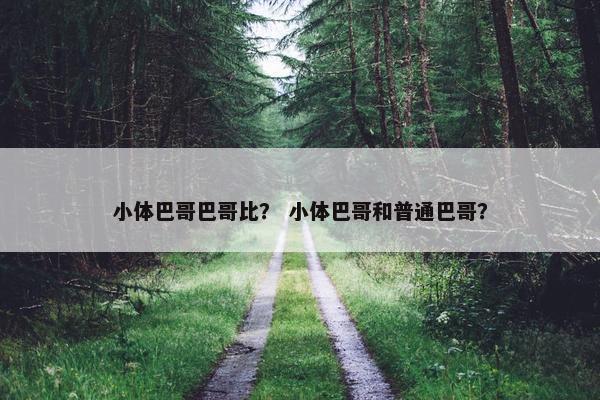 小体巴哥巴哥比？ 小体巴哥和普通巴哥？