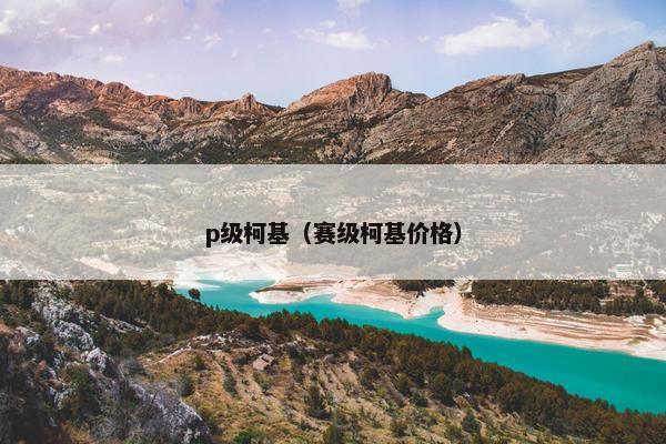p级柯基（赛级柯基价格）