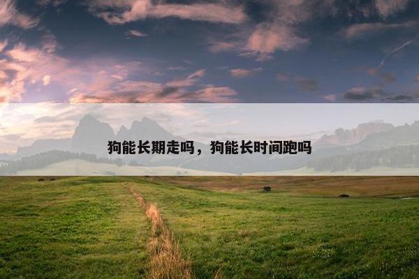 狗能长期走吗，狗能长时间跑吗