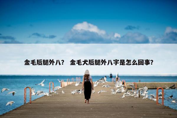 金毛后腿外八？ 金毛犬后腿外八字是怎么回事？