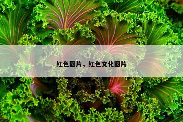 红色图片，红色文化图片