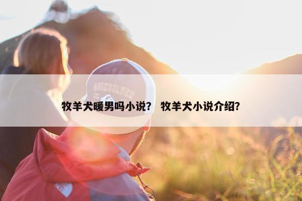 牧羊犬暖男吗小说？ 牧羊犬小说介绍？