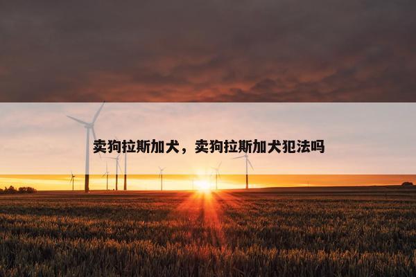 卖狗拉斯加犬，卖狗拉斯加犬犯法吗