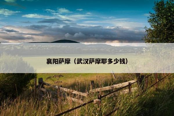 襄阳萨摩（武汉萨摩耶多少钱）