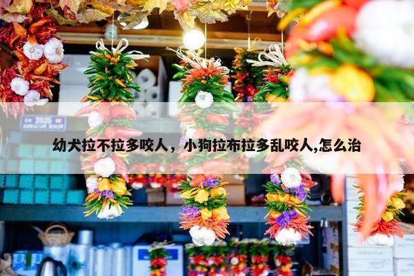 幼犬拉不拉多咬人，小狗拉布拉多乱咬人,怎么治