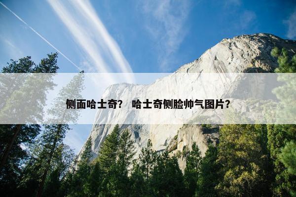 侧面哈士奇？ 哈士奇侧脸帅气图片？