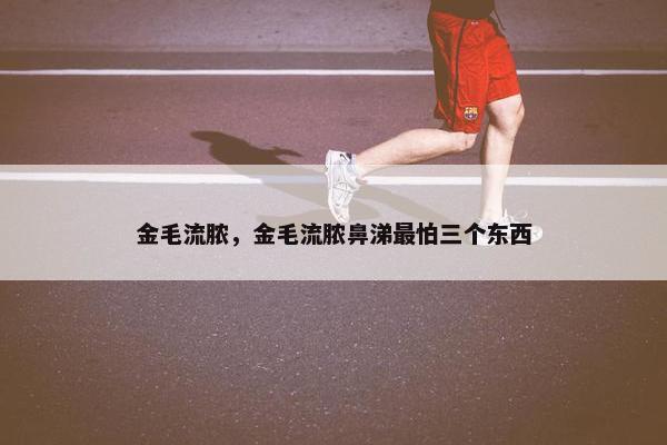 金毛流脓，金毛流脓鼻涕最怕三个东西