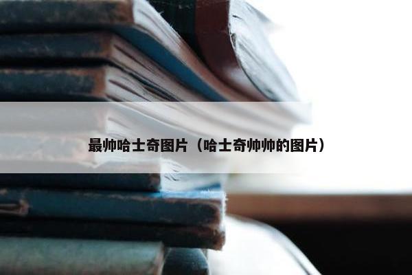 最帅哈士奇图片（哈士奇帅帅的图片）