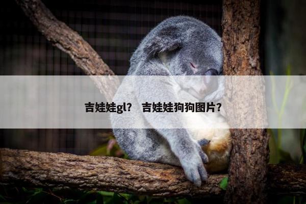 吉娃娃gl？ 吉娃娃狗狗图片？