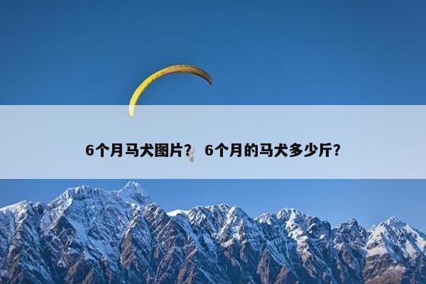 6个月马犬图片？ 6个月的马犬多少斤？