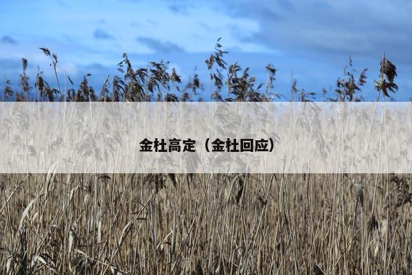 金杜高定（金杜回应）