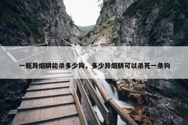 一瓶异烟肼能杀多少狗，多少异烟肼可以杀死一条狗