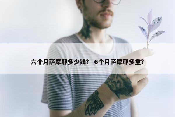 六个月萨摩耶多少钱？ 6个月萨摩耶多重？