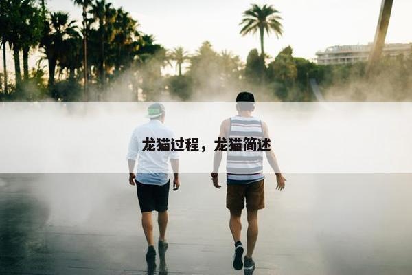 龙猫过程，龙猫简述