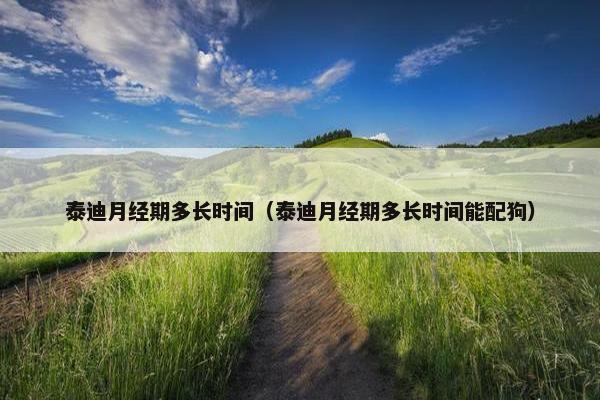 泰迪月经期多长时间（泰迪月经期多长时间能配狗）
