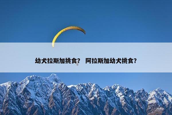 幼犬拉斯加挑食？ 阿拉斯加幼犬挑食？