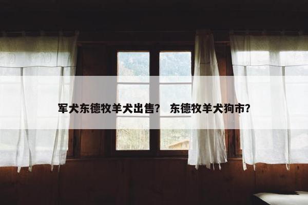 军犬东德牧羊犬出售？ 东德牧羊犬狗市？
