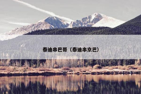 泰迪串巴哥（泰迪串京巴）