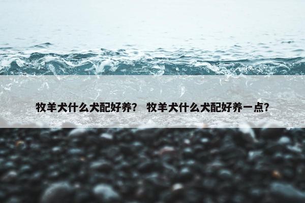 牧羊犬什么犬配好养？ 牧羊犬什么犬配好养一点？