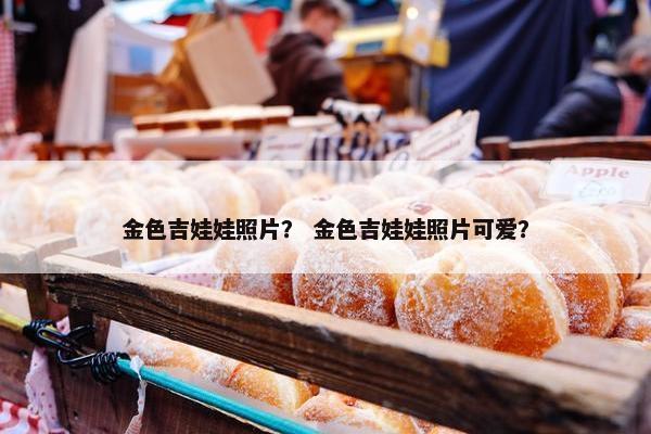 金色吉娃娃照片？ 金色吉娃娃照片可爱？