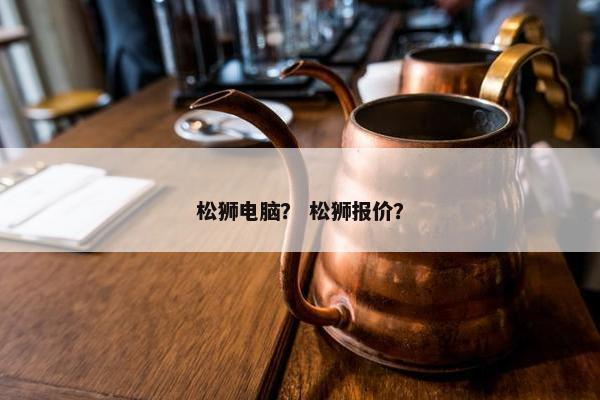 松狮电脑？ 松狮报价？