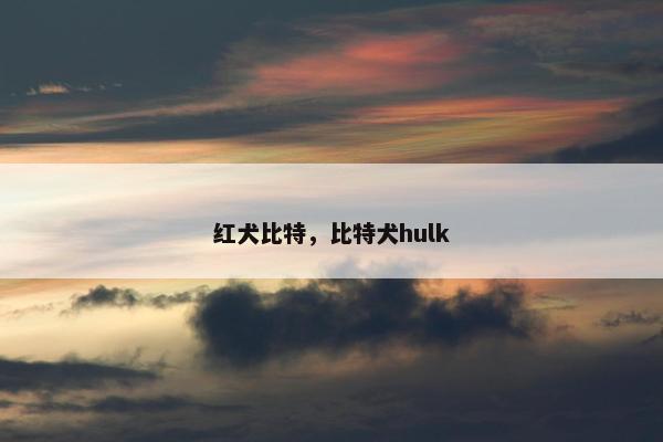 红犬比特，比特犬hulk