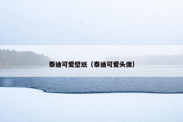 泰迪可爱壁纸（泰迪可爱头像）