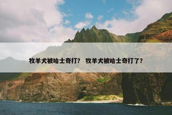 牧羊犬被哈士奇打？ 牧羊犬被哈士奇打了？