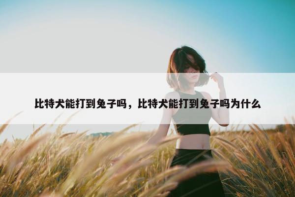 比特犬能打到兔子吗，比特犬能打到兔子吗为什么