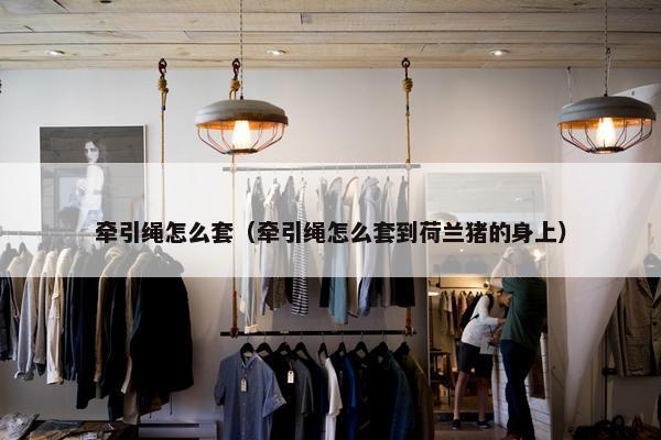 牵引绳怎么套（牵引绳怎么套到荷兰猪的身上）