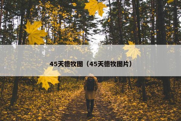 45天德牧图（45天德牧图片）