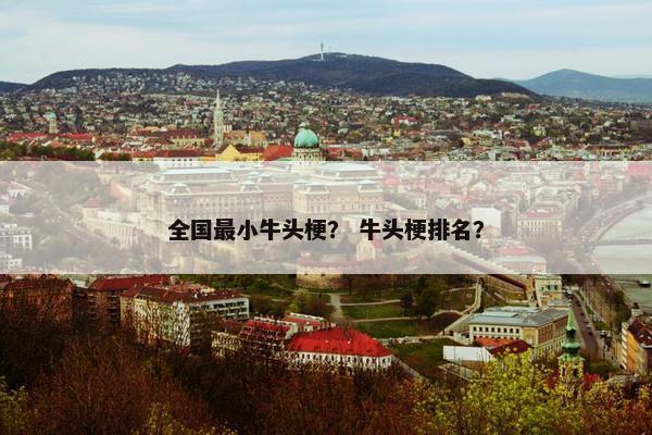 全国最小牛头梗？ 牛头梗排名？