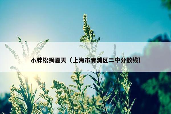 小胖松狮夏天（上海市青浦区二中分数线）