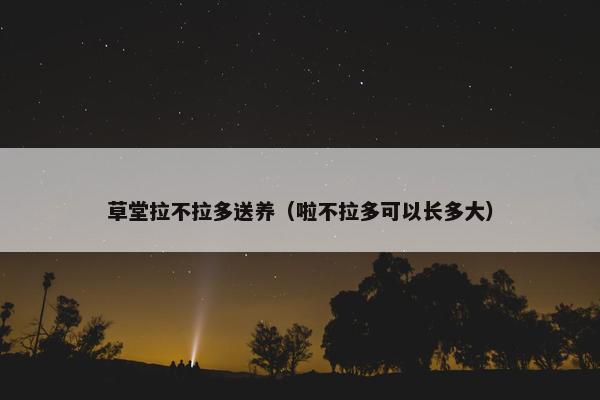 草堂拉不拉多送养（啦不拉多可以长多大）