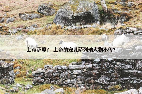 上帝萨摩？ 上帝的宠儿萨列瑞人物小传？