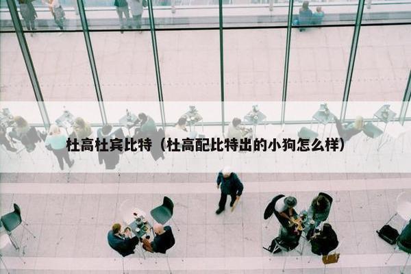 杜高杜宾比特（杜高配比特出的小狗怎么样）