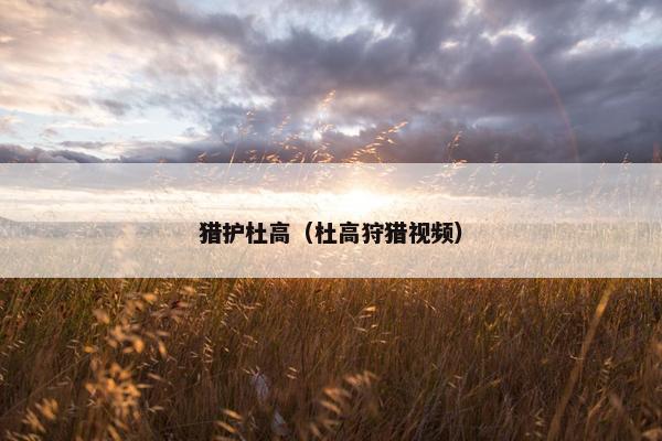 猎护杜高（杜高狩猎视频）