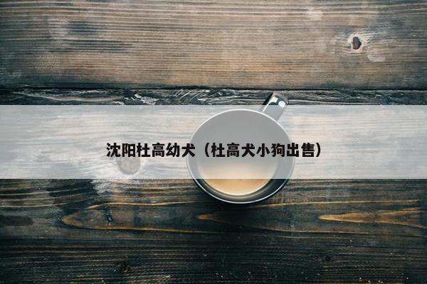 沈阳杜高幼犬（杜高犬小狗出售）