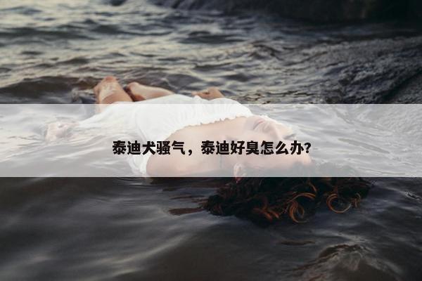 泰迪犬骚气，泰迪好臭怎么办?
