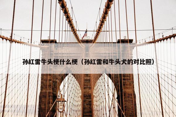 孙红雷牛头梗什么梗（孙红雷和牛头犬的对比照）